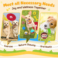 KIPRITII 25 Pack Various Dog Toys Set – Ideal for Teething, Entertainment & Interactive Play, Includes Puppy Toys, Rope Toys, Treat Balls and Squeaky Dog Toys