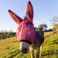 1 Pcs Mini Donkey Fly Mask with Ear Protection, Rose Red