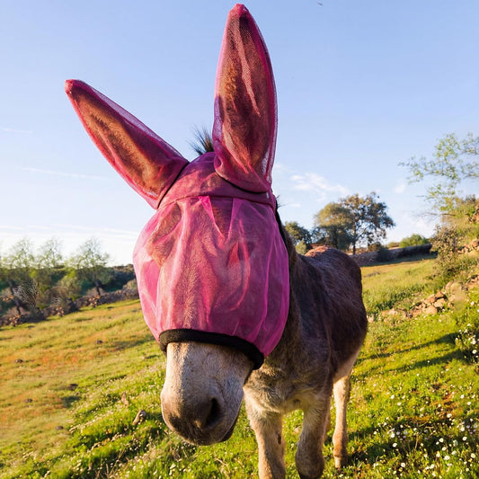 1 Pcs Mini Donkey Fly Mask with Ear Protection, Rose Red