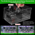 Magnet Acclimation Box for Saltwater Fish Quarantine Aquarium Isolation Box for Aquarium Fish Anemone Reef Coral(Patente