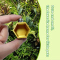 Jumping Spider Hide Enclosure Accessories Habitat Hexagon Shelf Magnetically Concealed Jumping Spider Enclosure Climbing