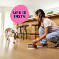 Kibbles 'n Bits Mini Bits Small Breed Dry Dog Food, 3.5 lb. Bag
