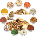 Abizoo Hamster & Gerbil Treat, Natural Health, Gourmet Hamster and Gerbil Food for Small Animals with Seeds, and Grains,