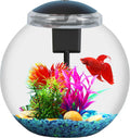 3-Gallon Aquarium Starter Kit, Ideal for Betta Fish and Other Tropical Fish, Includes Power Filter, LED Light, Hood, and
