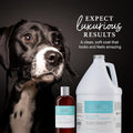 iGroom All-in-One Dog Shampoo + Conditioner, Luxury Pet Beauty Care, Deep Clean All Coat Types, Hydrate and Condition Co