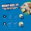 Chuckit! Air Glow Fetch Ball Dog Toy, Medium 2.5in