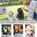 BESTHLS Automatic Dog Ball Launcher Tennis Ball Thrower Machine with 6 Ball