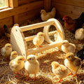 Cubolar Pine Chicken Perch with Mirror, Strong Chick Jungle Gym Roosting Bar, Chicken Toys for Coop and Brooder, Training Perch Toys for Large Bird, Parrot, Macaw, Hens (Small)
