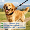 Kazazoo Martingale Collar for Dogs with Quick Release Buckle Adjustable Soft Durable Dog Collar for Large Dogs No Pull T