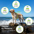 VIVAGLORY Dog Life Vest High Buoyancy Dog Swim Vest, S