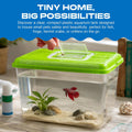 Penn-Plax Small World Habitat – Portable Clear and Transparent Plastic Tank – Excellent for Small Critters and Creatures