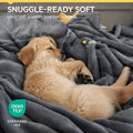 Waterproof Pet Blanket, Liquid Pee Proof Dog Blanket for Sofa Bed Couch, Reversible Sherpa Fleece Furniture Protector Cover for Small Medium Large Dogs Cats, Dark Gray Small（40" x 28"）