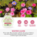 Water Lilies Spring and Summer Wax Melts Plant-Based Wax, Pet House