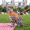 Cat Harness and Leash Set, No Over-the-Head Cat Vest, Orange, M