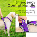 ThinkPet No Pull Harness Breathable Sport Harness with Handle-Dog Harnesses Reflective Adjustable for Medium Large Dogs,
