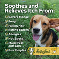 HAPPY JACK Mange Medicine & Treatment for Dogs & Horses, 16 oz