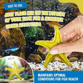Sandy The Bio-Support Starfish - 1 Pack, Yellow- Promotes A Healthy Balanced Aquarium Ecosystem, Probiotic Growth, Tank 