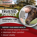 Horse Ivermectin Paste 1.87% – Apple Flavored Oral Horse Dewormer Syringe – 6.08g Tube Treats Horses Up to 1,250 lbs [Pa