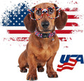 Lionheart glory American Flag Dog Collar, 4 of July Patriotic Independence Dog Collar Heavy Duty Adjustable Collars for Medium Dogs Pet Gift Summer Collars