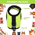 Satinior 2 Sets Guinea Pig Harness and Leash Kit, Green, Pink, S