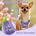 Small Dog Harness and Leash Set, Adjustable Small Sized Pet Vest