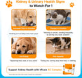 VFcare KC Complex Kidney Support Supplement for Cats & Dogs – Omega 3 for Dogs, Omega 3 for Cats – Fish Oil, SOD, Nano-Chitooligosaccharide – Vet Formula for Renal Health – 30 Sachets