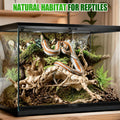 4PCS Natural Spider Wood, 4-8" Driftwood for Aquarium & Reptile Tank Decor