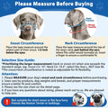 BARKLESS No Pull Dog Head Collar for Gentle Training Walking, Head Halter