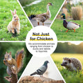 GOJOOASIS Chicken Coop for 2 Chickens Raised House with Ramp & Nesting Box