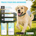 GPS Tracker for Dogs, Dog GPS Tracker, Pet Location Tracker with Collar, Real-Time Tracking, No Monthly Fee or Subscript