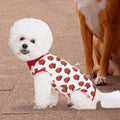 Miaododo 2 Packs Pet Dog Recovery Onesie Suit for Dogs Cats After Surgery,Dog Abdominal Wounds Bandages Cone E-Collar Alternative. (Pink, S)