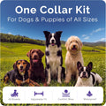 Flea Collar for Dogs, Flea & Tick Collar for Dogs, Refillable