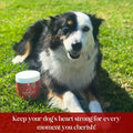 CardioChew Heart Supplement for Dogs – Vet Formulated with Taurine, L-Carnitine, CoQ10, Omega-3 (EPA & DHA) & Green Lipp