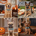 ADOGGYGO Halloween Dog Collar Girl, Bow Ghost Dog Bow Tie Collar, L