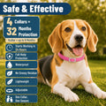4 Pack Flea Collar for Dogs, 32 Months Flea and Tick Prevention for Dogs