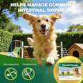 Dog Dewormer Pyrantel Pamoate, Chewable Tablets for Dogs & Puppies, Roundworms & Hookworms, Easy Dosing, 36 Tablets
