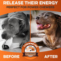 BRUTUS & BARNABY Premium Beef Cheek Rolls for Dogs 10-12" - (3-Pack) Long Lasting, Natural Rawhide Alternative Chews, Id