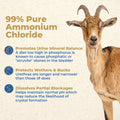 AniMed 99% Ammonium Chloride Powder for Goats, Cattle, Sheep, 2.5 lbs