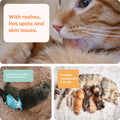 Suitical Recovery Suit for Cats - Spay and Neutering Cat Surgery Recovery Suit for Male or Female - Soft Fabric for Skin