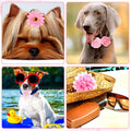 Hoteam 50 Pcs Dog Flower Collar Dog Collar Bows Pet Bow Charms Set for Wedding Birthday Party Valentine's Day Dogs Puppy Cat Pet Grooming Accessories
