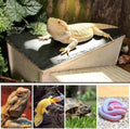 Bearded Dragon Basking Platform,Wood Reptile Hide Cave with Slate Rock,L