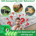 Cat Deterrent Outdoor, Natural Peppermint Oil Cat Repellent Outdoor, 10 Pack Cat Deterrent Balls Outdoor Indoor to Keep 
