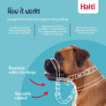 Halti Optifit Headcollar (Size M) & Training Leash (Size L, Black) Bundle