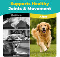 Dog Pain Relief Anti-Inflammatory, Joint Supplement for Dogs, Anti-Inflammatory Pain Support for Joint Stiffness & Soren
