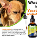 Creimpdoty Natural Yeast Relief for Dogs and Cats, Skin & Ear Soothing Drops, Itchy Skin & Ear Allergy Support, Reduces Itching, Irritation & Inflammation, Bacon Flavor, 2 FL OZ