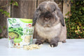 Exotic Nutrition Green Pea Flakes (1 lb.) - Healthy Natural Dried Vegetable Treat - for Rabbits, Guinea Pigs, Hamsters, 
