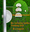 3 PCS Jumping Spider Feeding Dish, Tiny Food Dishes Water Dish for Jumping Spider, Tarantula and Other Small Pets, Half 