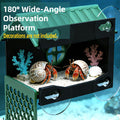 Multi-Functional Hermit Crab Hideaway | Hermit Crab Foraging cave with Ladder | Hermit Crab Climbing wall Toy | Hideout 