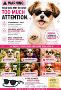 G014 Small Breed up to 15lbs Dog Cat Pet Puppy Panto Round Sunglasses (Panto Black, Small Dog up to 15 lbs)