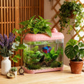 Geelin Pink 2 Gallon Plastic Fish Tank Shatterproof Betta Aquarium Bowl